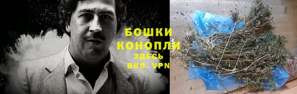 трава Абаза