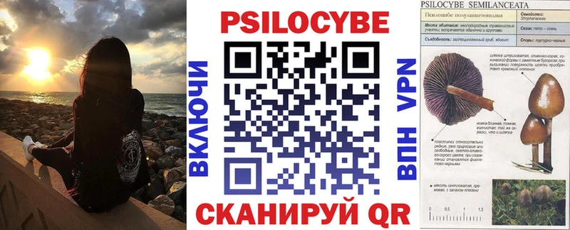 Галлюциногенные грибы MAGIC MUSHROOMS  МЕГА как зайти  Новомичуринск  где можно купить  